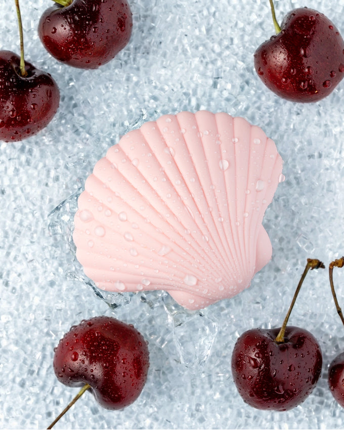 Sandy The Shell