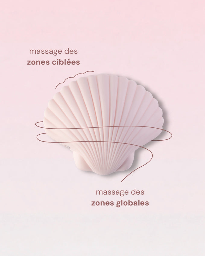 Sandy The Shell