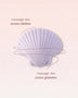 Sandy The Shell